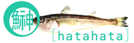 鰰[hatahata]
